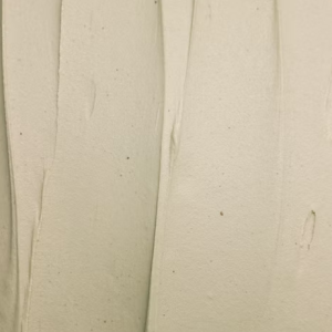 Roasted Bronte Pistachio (16oz)